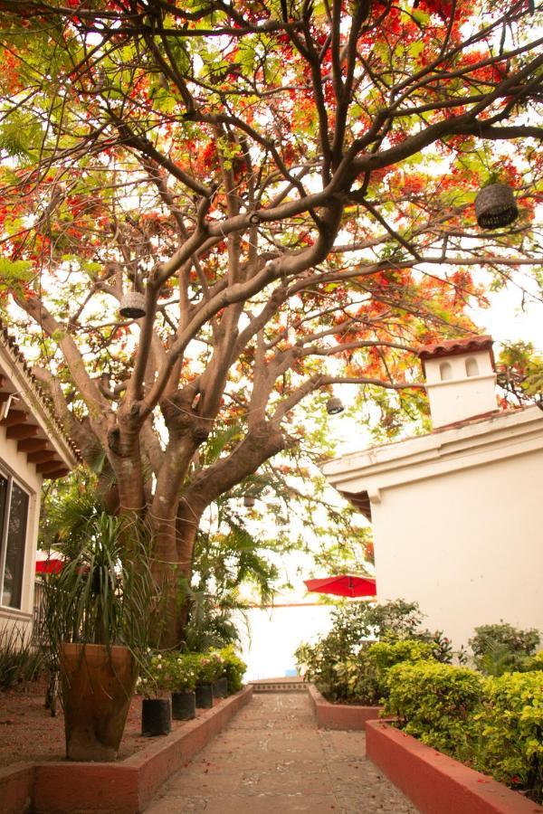 Casa Maria Emilia Hotel Cuernavaca Ngoại thất bức ảnh